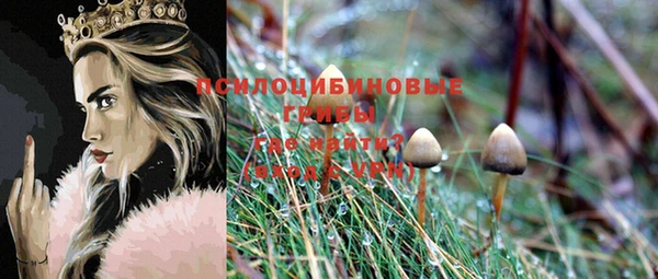 тгк Зеленокумск